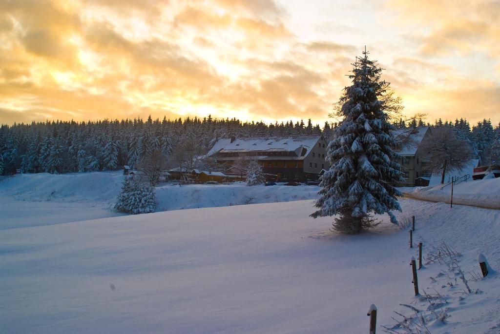 Hotel Zum Schneekopf "Garni" Gehlberg Exteriér fotografie