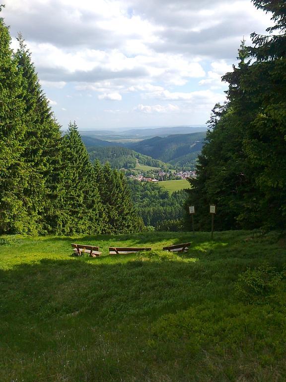 Hotel Zum Schneekopf "Garni" Gehlberg Exteriér fotografie