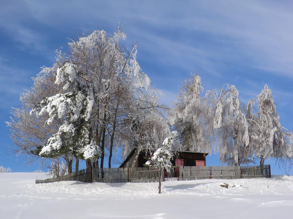 Hotel Zum Schneekopf "Garni" Gehlberg Exteriér fotografie