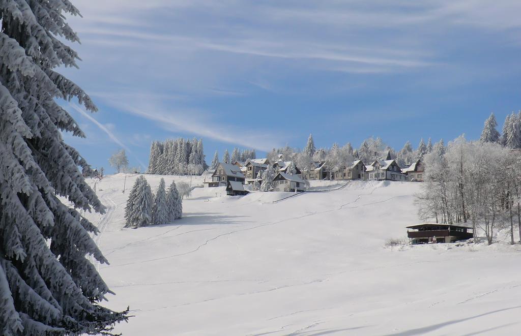 Hotel Zum Schneekopf "Garni" Gehlberg Exteriér fotografie